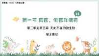 苏教版（2024）七年级上册（2024）真菌、细菌和病毒教学演示课件ppt