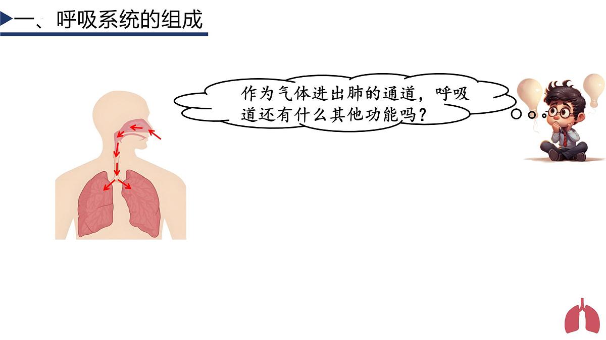 4.3.1 呼吸道对空气的处理+课件-2024-2025学年人教版生物七年级下册第6页