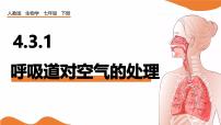 初中生物人教版(2024)七年级下册(2024)呼吸道对空气的处理课文课件ppt