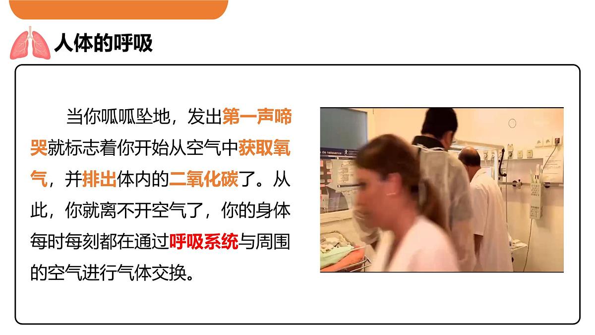 4.3.1 呼吸道对空气的处理 课件-2024-2025学年人教版生物七年级下册第3页