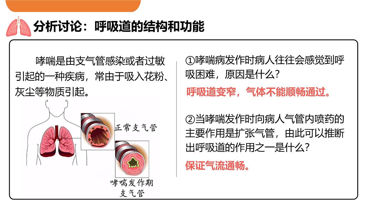 4.3.1 呼吸道对空气的处理 课件-2024-2025学年人教版生物七年级下册第8页