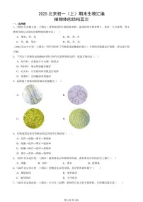 2025北京初一(上)期末真题生物汇编:植物体的结构层次