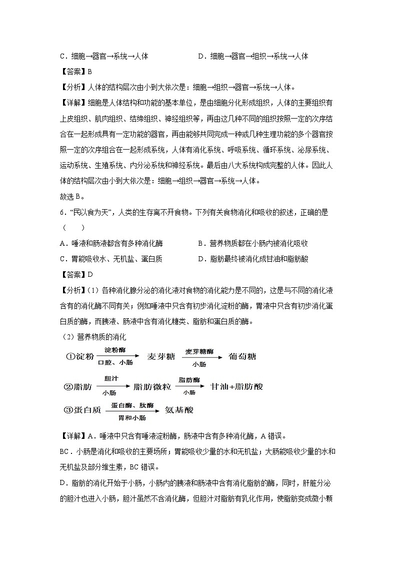 备战2025年中考模拟卷07(广西专用)生物(解析版)第3页