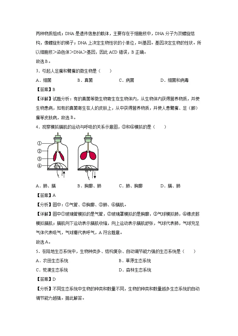 备战2025年中考模拟卷04(长沙卷)生物(解析版)第2页