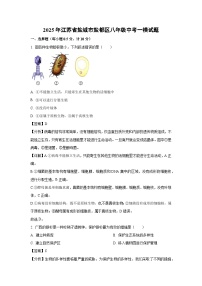 2025年江苏省盐城市盐都区八年级中考一模生物试题（解析版）