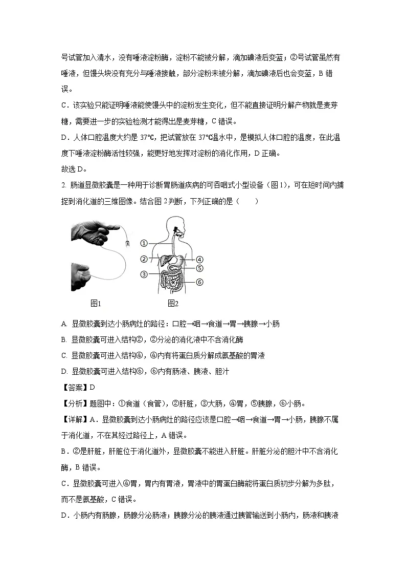 2025年山东省济南市市中区中考一模生物试题(解析版)第2页