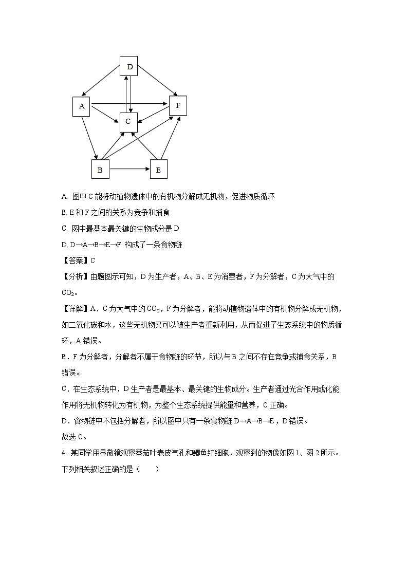 2025年山东省东营市广饶县八年级中考一模生物试题(解析版)第3页
