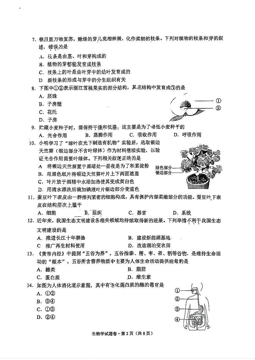 2025年云南省昆明市初中学业质量诊断性检测生物试卷第2页