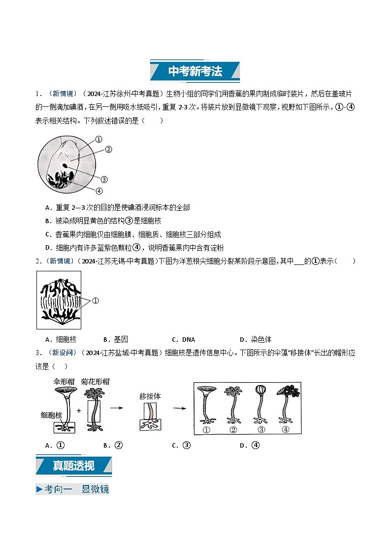 备战2025年中考生物真题分类汇编(江苏专用)专题01生物体的结构层次(原卷版)第2页