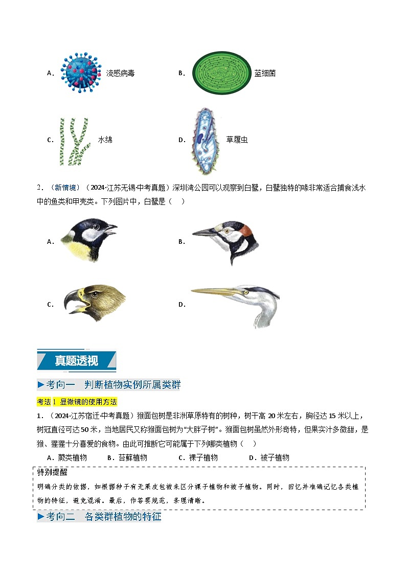 备战2025年中考生物真题分类汇编(江苏专用)专题02植物和动物的主要类群(原卷版)第2页