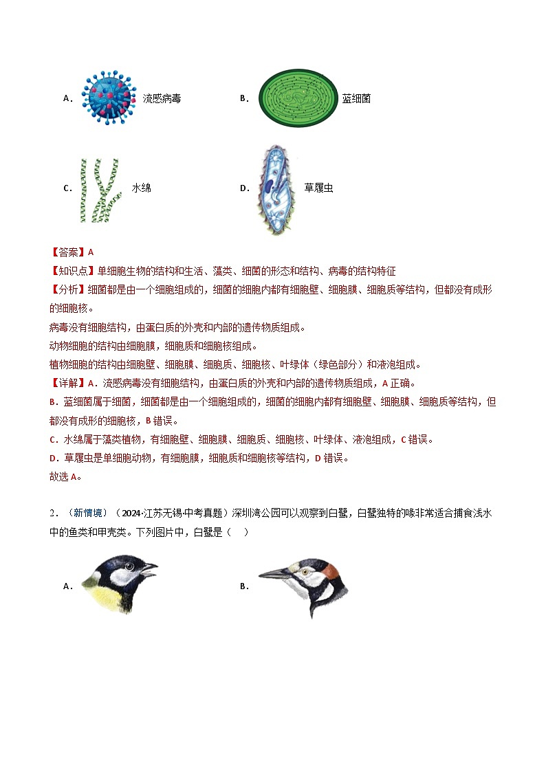 备战2025年中考生物真题分类汇编(江苏专用)专题02植物和动物的主要类群(解析版)第2页