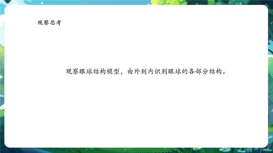 【核心素養(yǎng)】3.5.3.1感覺的形成（視覺） 課件+視頻素材第5頁