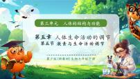 初中生物冀少版（2024）七年级下册（2024）激素与生命活动调节精品作业ppt课件