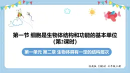 1.2.1細胞是生物體結(jié)構(gòu)和功能的基本單位-第2課時課件 2025學年濟南版生物七年級上冊