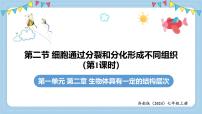 初中生物细胞通过分裂和分化形成不同组织教案配套课件ppt