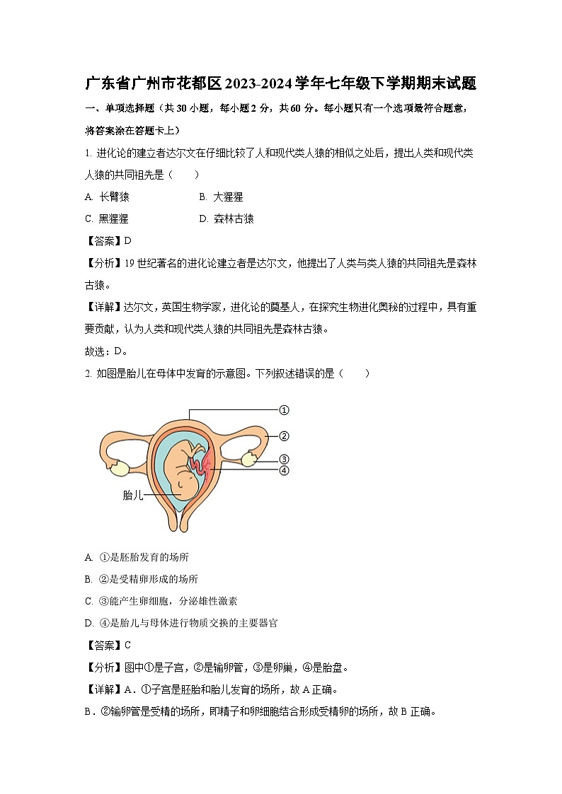 广东省广州市花都区2023-2024学年七年级下学期期末生物试题第1页