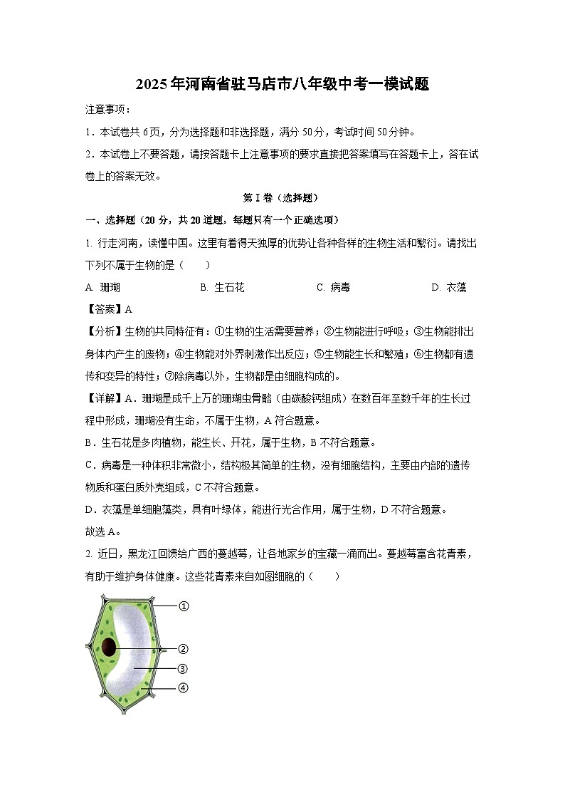 2025年河南省驻马店市八年级中考一模生物试题(解析版)第1页
