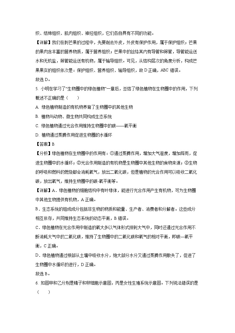 2025年河南省驻马店市八年级中考一模生物试题(解析版)第3页
