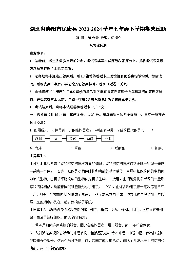 湖北省襄阳市保康县2023-2024学年七年级下学期期末生物试题(解析版)第1页