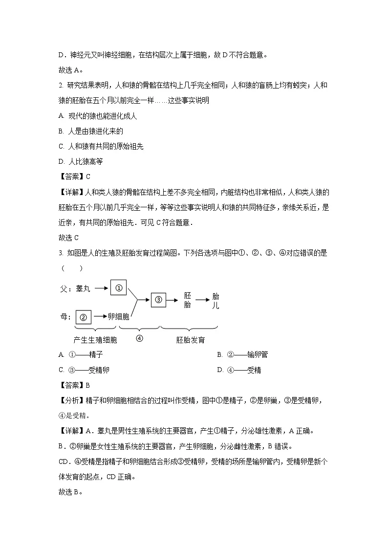 湖北省襄阳市保康县2023-2024学年七年级下学期期末生物试题(解析版)第2页