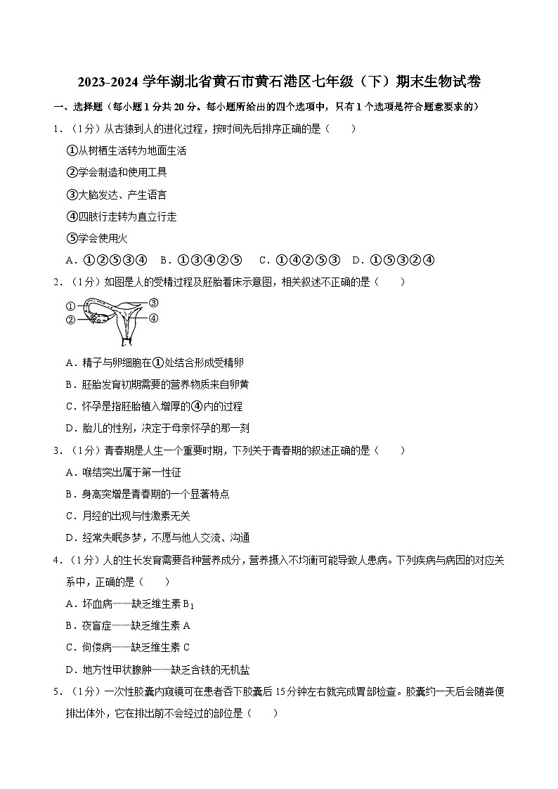湖北省黄石市黄石港区2023-2024学年七年级下学期期末考试生物试卷第1页