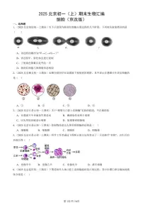 2025北京初一(上)期末真题生物汇编:细胞(京改版)