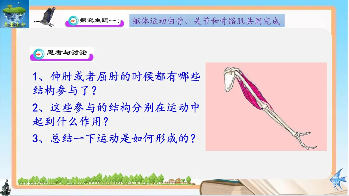 11.3 运动的形成 2025学年七年级生物下册同步优质课件(北师大版2024)第5页