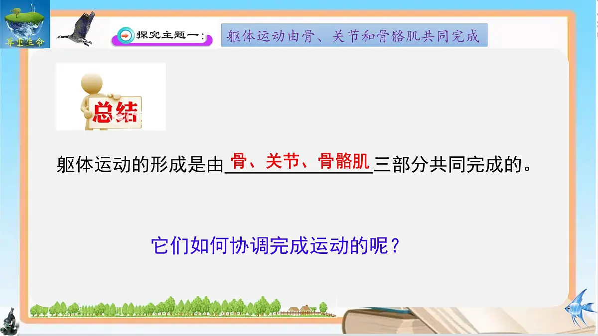 11.3 运动的形成 2025学年七年级生物下册同步优质课件(北师大版2024)第7页