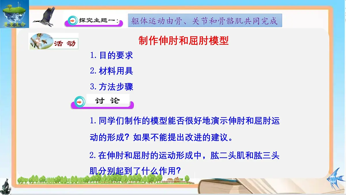 11.3 运动的形成 2025学年七年级生物下册同步优质课件(北师大版2024)第8页