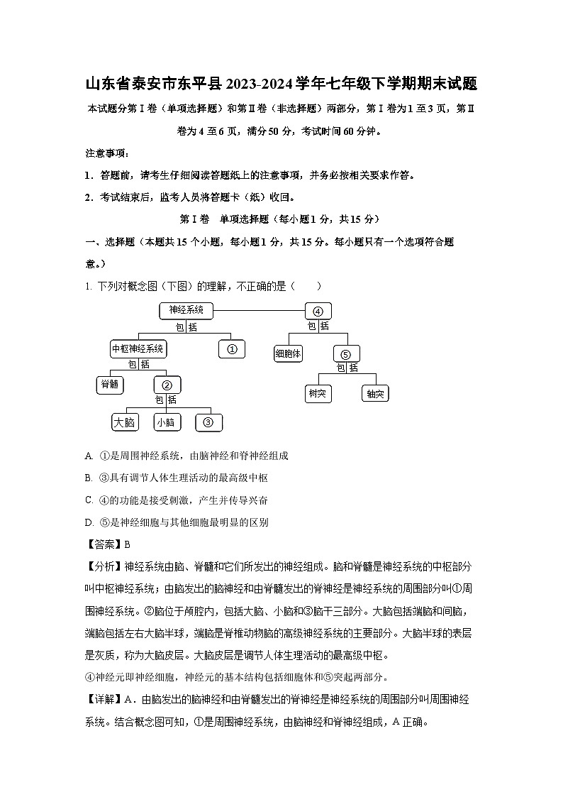 山东省泰安市东平县2023-2024学年七年级下学期期末生物试题(解析版)第1页