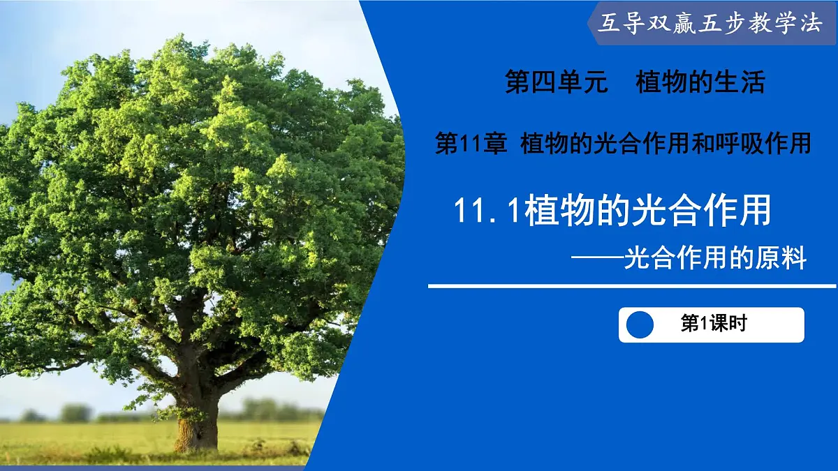 11.1 植物的光合作用(第1课时)(课件)2025学年七年级生物下册苏教版第1页