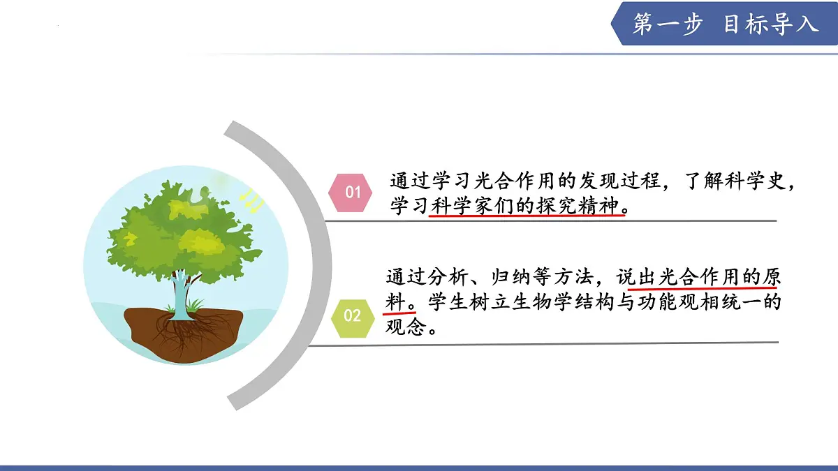 11.1 植物的光合作用(第1课时)(课件)2025学年七年级生物下册苏教版第2页