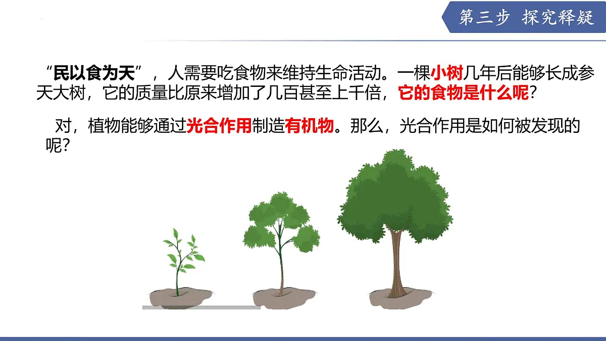 11.1 植物的光合作用(第1课时)(课件)2025学年七年级生物下册苏教版第4页