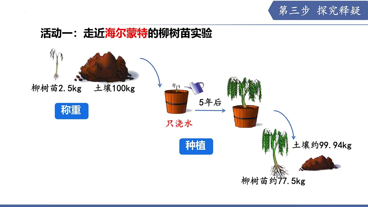 11.1 植物的光合作用(第1课时)(课件)2025学年七年级生物下册苏教版第6页