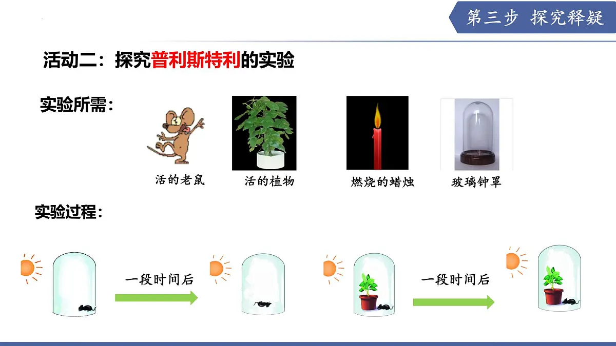 11.1 植物的光合作用(第1课时)(课件)2025学年七年级生物下册苏教版第8页
