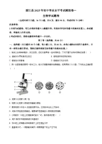 2025年云南省昭通市八年级一模生物试题（中考模拟）