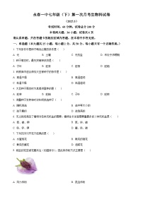 福建省永春第一中学2024-2025学年七年级下学期3月月考生物试题（原卷版+解析版）
