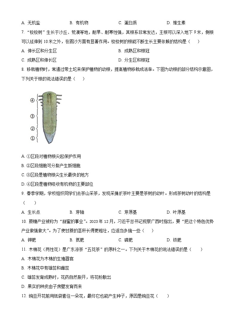 广东省江门市恩平市第一中学2024-2025学年七年级下学期3月月考生物试题(原卷版+解析版)第2页