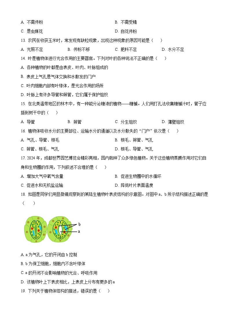 广东省江门市恩平市第一中学2024-2025学年七年级下学期3月月考生物试题(原卷版+解析版)第3页