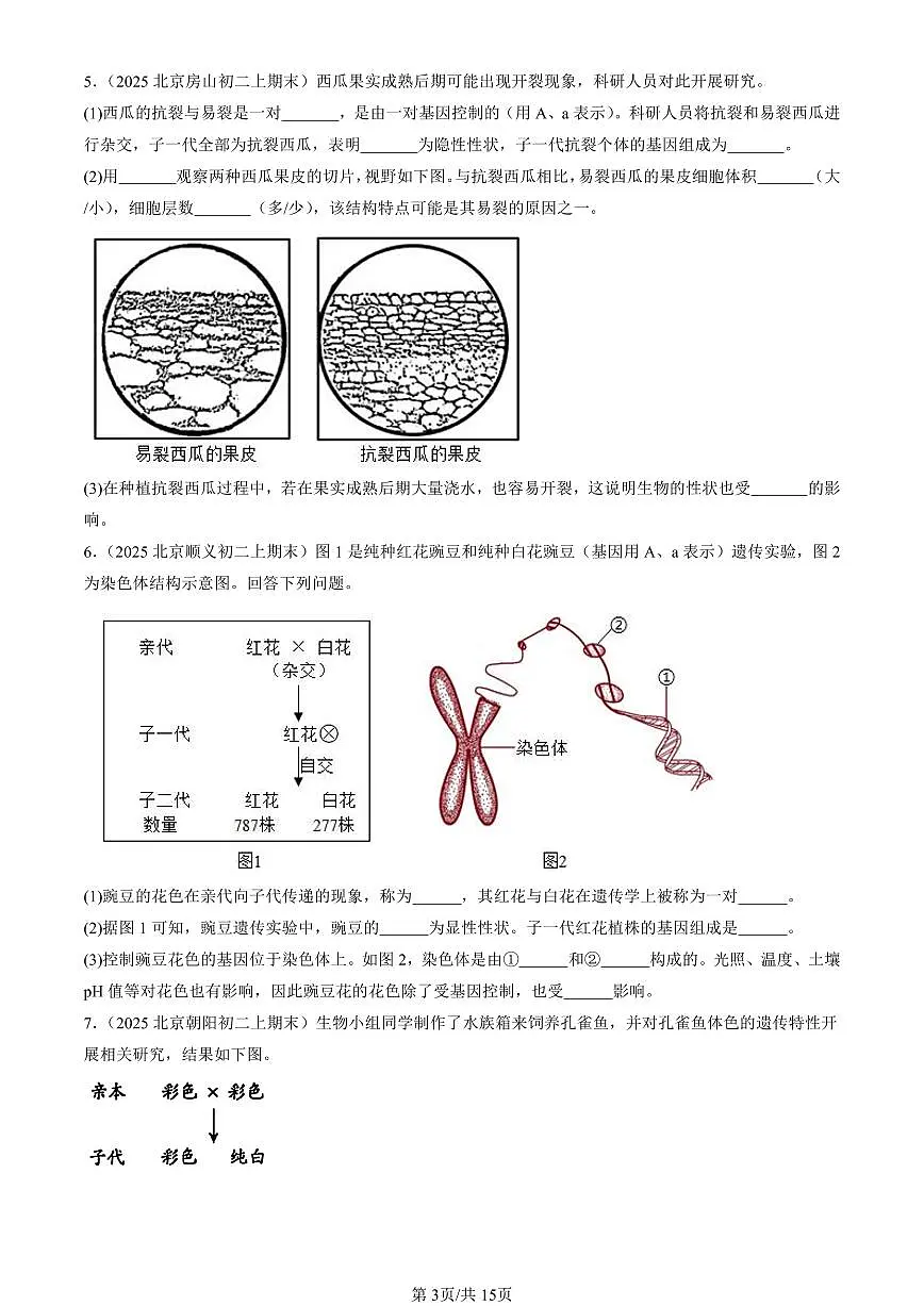2025北京初二(上)期末真题生物汇编:生物的遗传和变异章节综合(京改版)(非选择题)第3页