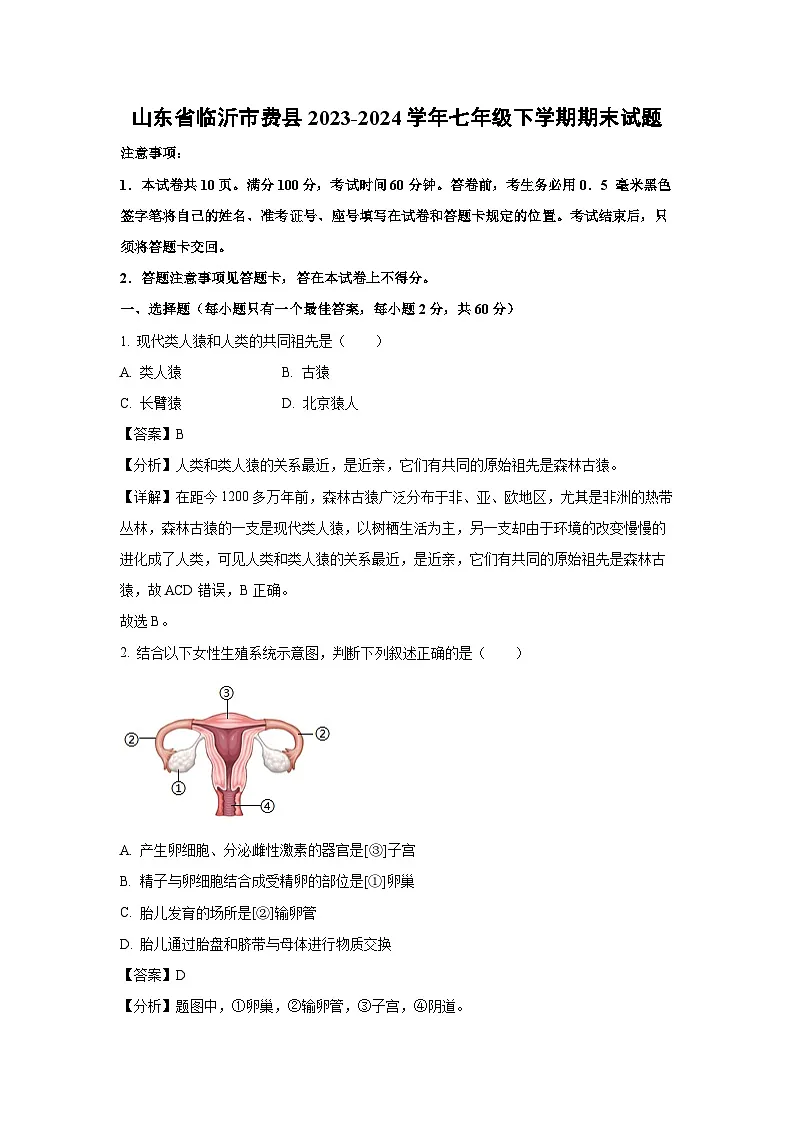 山东省临沂市费县2023-2024学年七年级下学期期末生物试卷(解析版)第1页