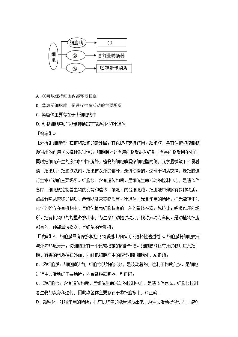 2025年四川省成都市邛崃市八年级一模生物试卷(解析版)第3页