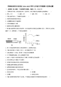 河南省洛阳市洛龙区2024-2025学年七年级下学期期中生物试题（原卷版+解析版）
