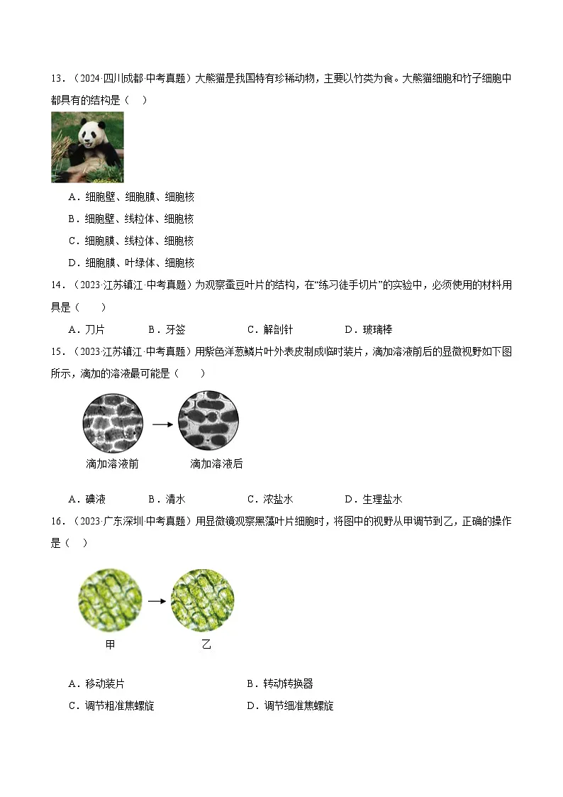 备考2025年中考生物三年真题分类汇编(全国通用)专题03生物体的结构层次(原卷版)第3页