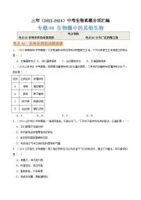 备考2025年中考生物三年真题分类汇编(全国通用)专题08生物圈中的其他生物(原卷版+解析)