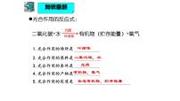 济南版（2024）七年级下册（2024）植物通过呼吸作用为生命活动提供能量集体备课ppt课件