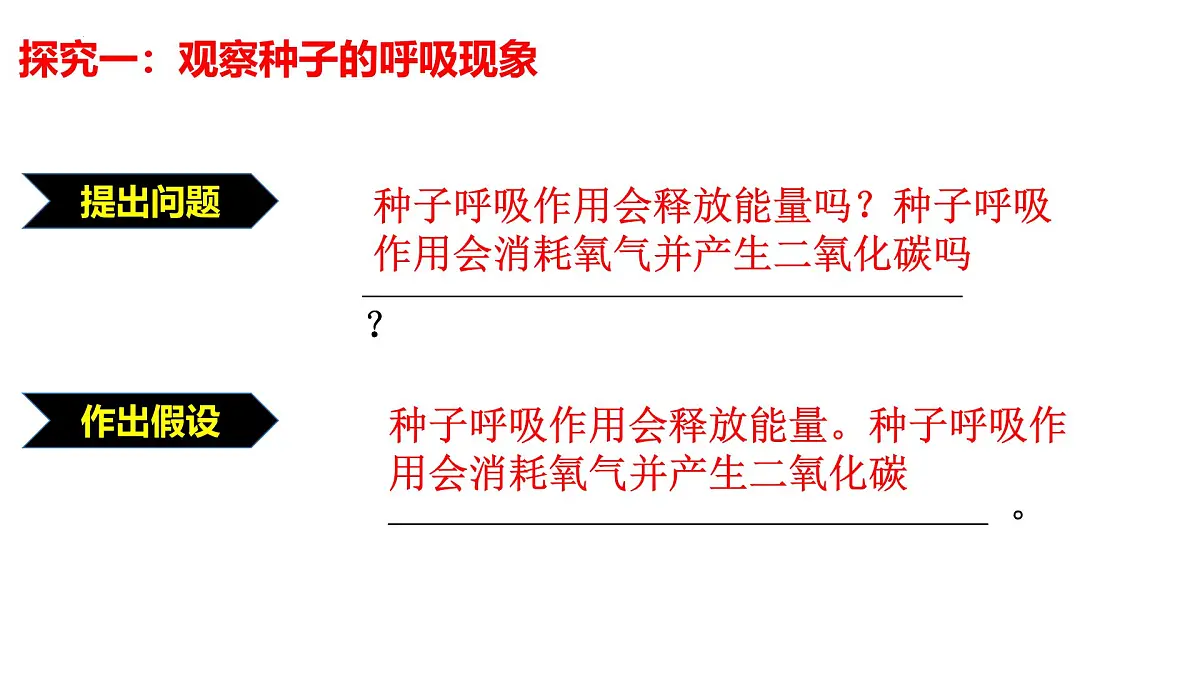 2024-2025学年济南版生物七年级下册 3.1.4植物通过呼吸作用为生命活动提供能量课件第4页
