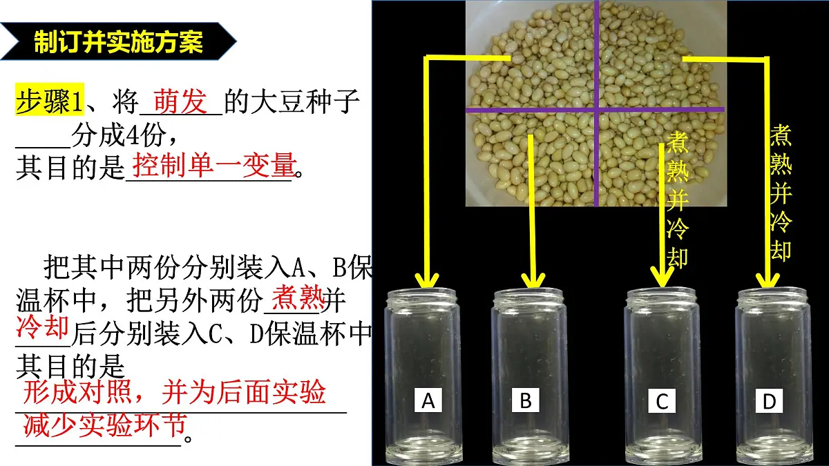 2024-2025学年济南版生物七年级下册 3.1.4植物通过呼吸作用为生命活动提供能量课件第5页