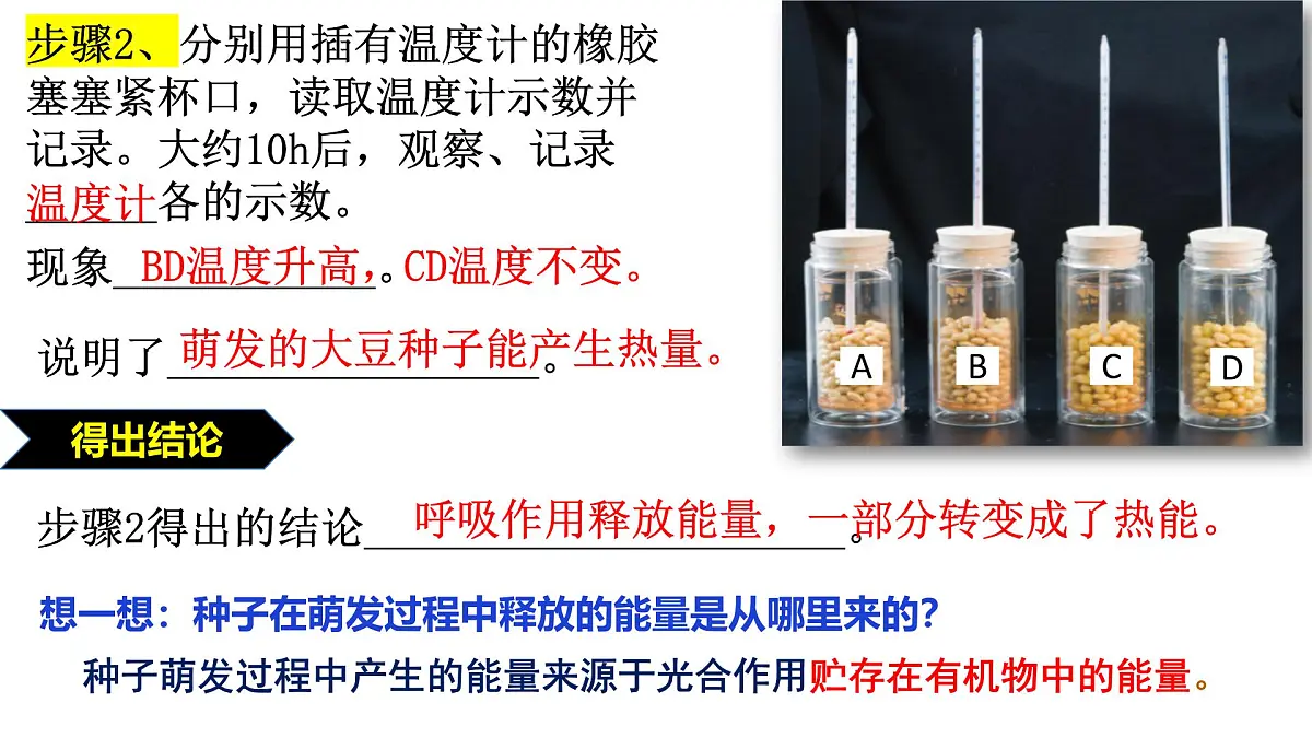 2024-2025学年济南版生物七年级下册 3.1.4植物通过呼吸作用为生命活动提供能量课件第6页