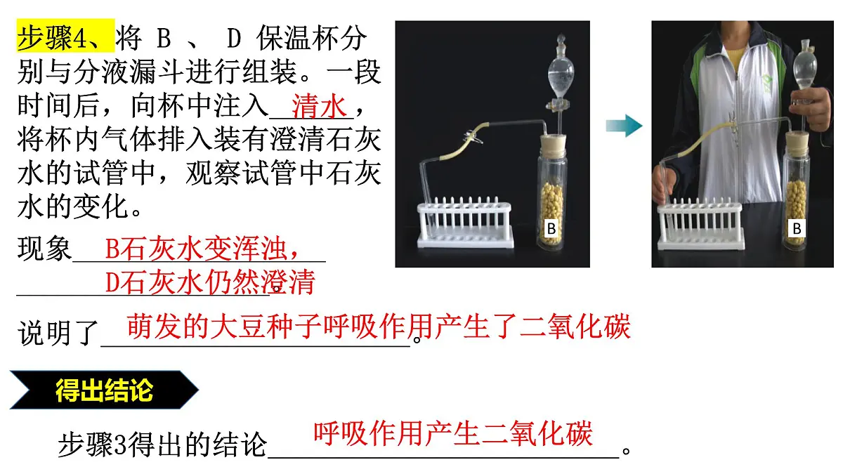 2024-2025学年济南版生物七年级下册 3.1.4植物通过呼吸作用为生命活动提供能量课件第8页
